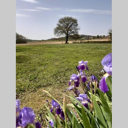 Gite Du Clos Baste Moncaup  Buitenkant foto